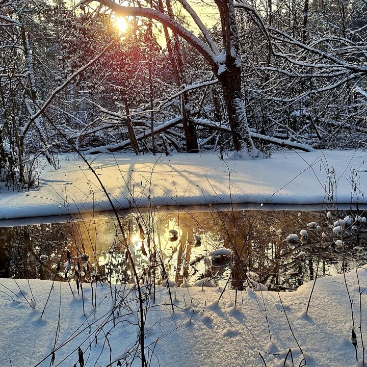 Frosty little river in forest