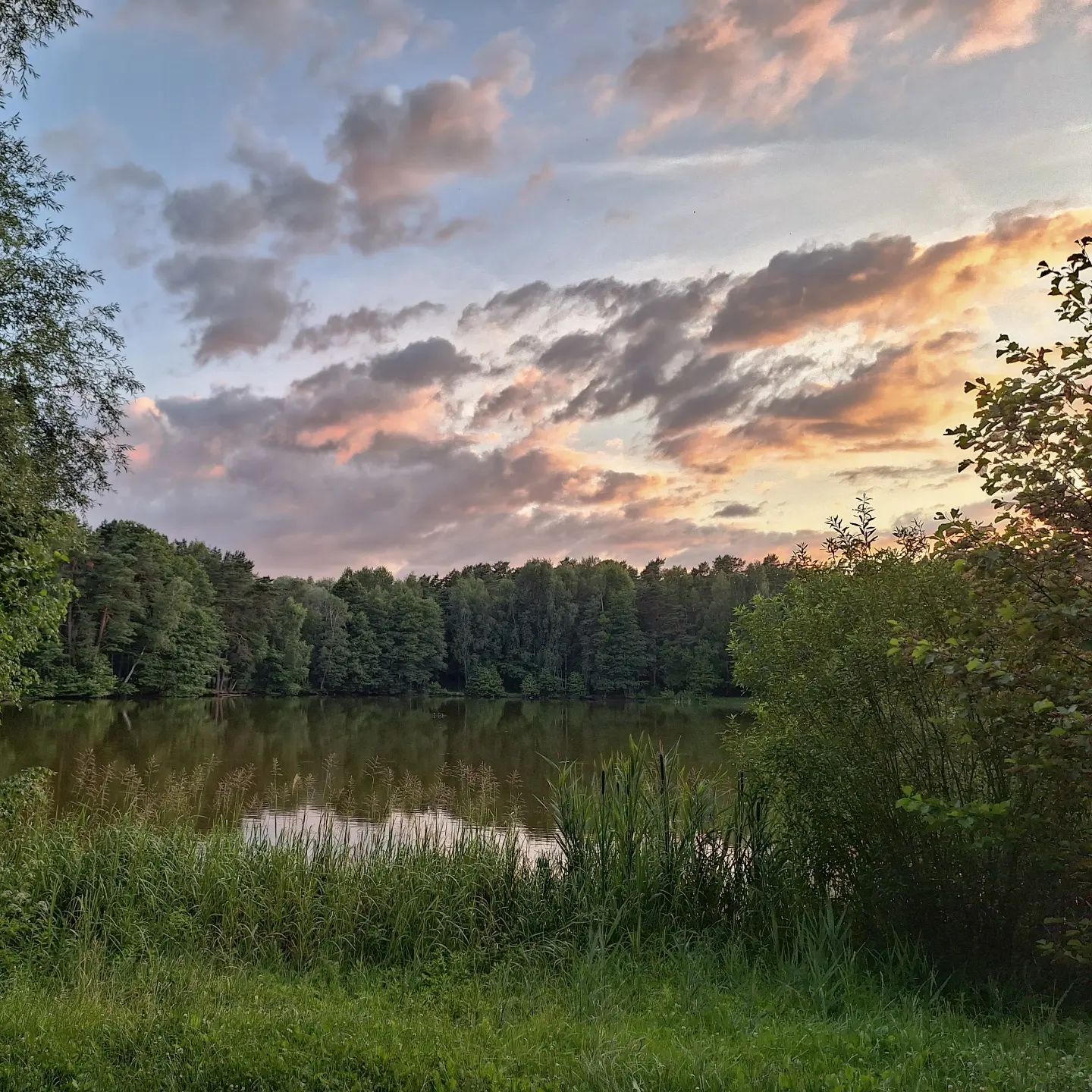 Evening summer lake