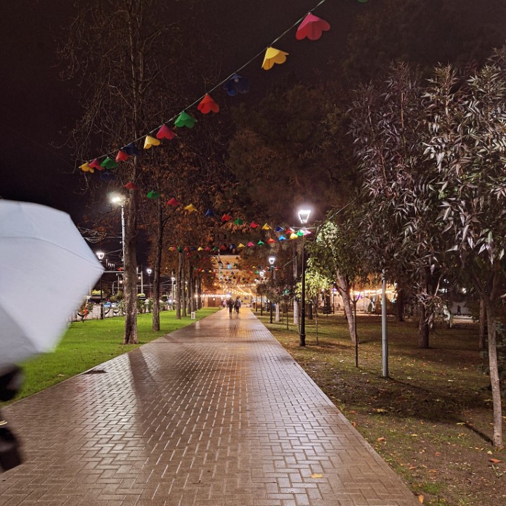 Rainy evening in Chișinău park